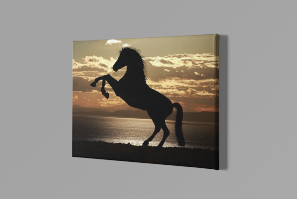 Horse Silhouette - Image 2